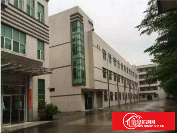 坪山江边村新出标准一楼厂房700平米带水电装修