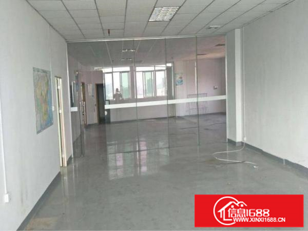 新墟24300平独院，带精装修，可做污染行业