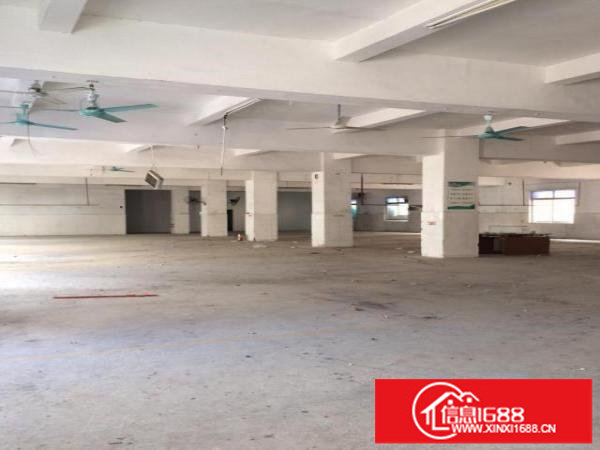 急租坪山碧岭1楼1088平高5米急租23