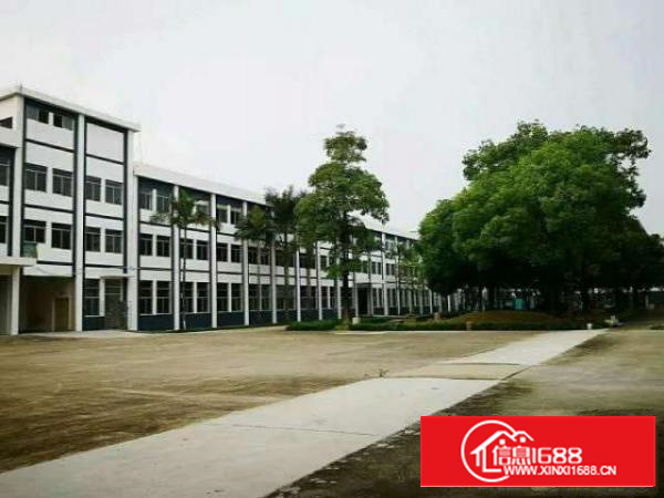 高埗花园式独院标准厂房总面积45000平方出租可分租