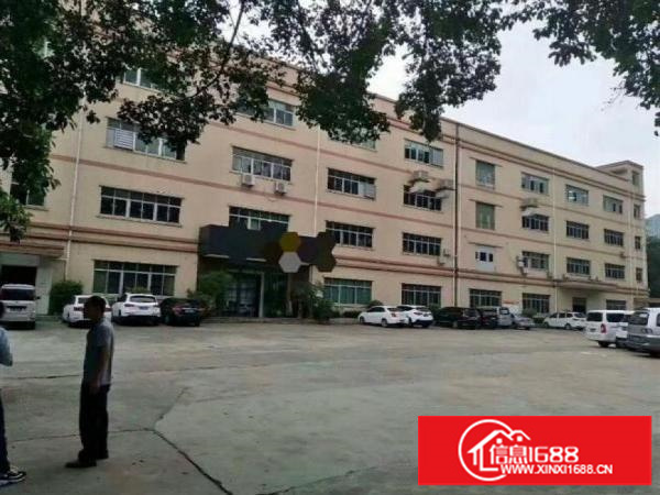 龙华大浪楼上带装修厂房2650平方急租