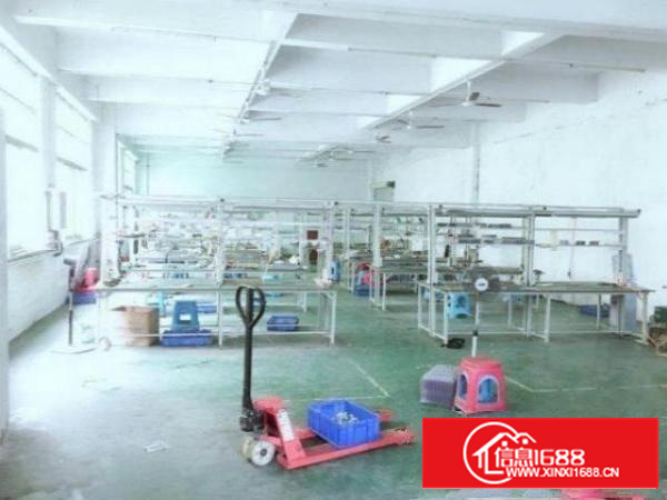 粟边空出一楼500平带装修厂房出租带大空地，实惠特价出租