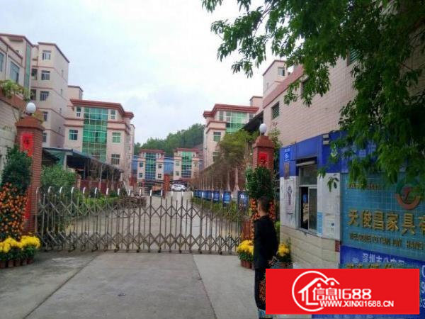 龙岗同乐新出16000独院厂房