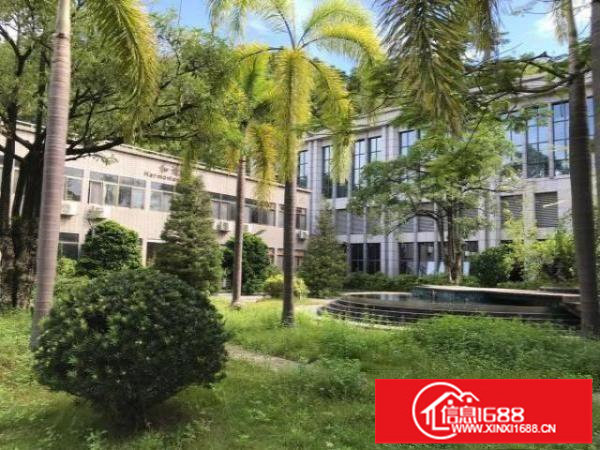 横岗大康花园式精装修独门独院厂房