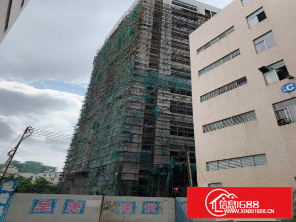 大岭山杨屋新出标准原房东可分租厂房3000平米一层可分租