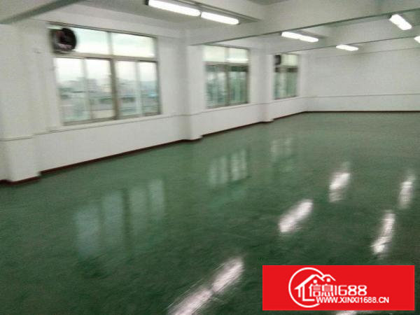 丹竹头地铁站全新厂房800平米