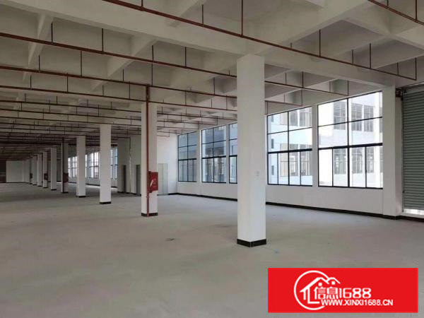 常平|国有土地园区独栋厂房164328平方厂房出租