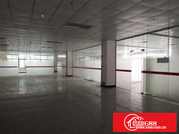 出租桥头镇万金高新产业基地厂房