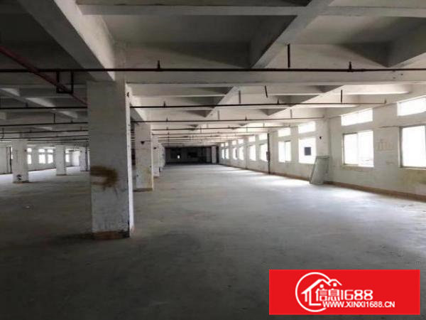 东莞大岭山厚大路高新园大小可分租厂房48000平米