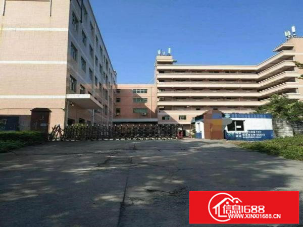 横岗大康社区精装修厂房单层面积1000平方