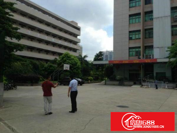 龙岗业主直租独院厂房6000平米可分租