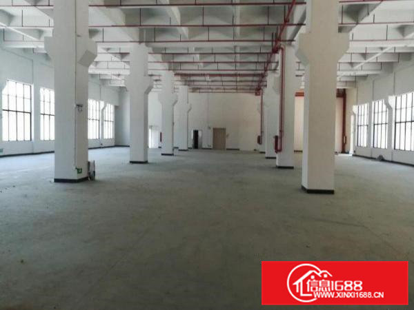 单层面积600平800平1000平1500平出租高新科技园