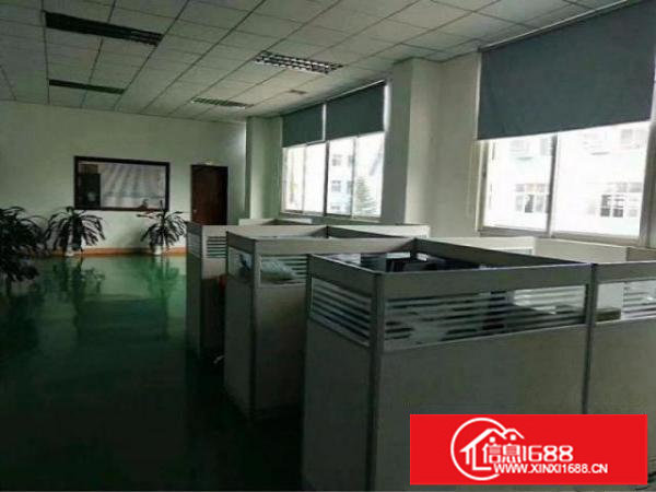 龙岗同乐原房东楼上整层1200平出租，白菜价15元