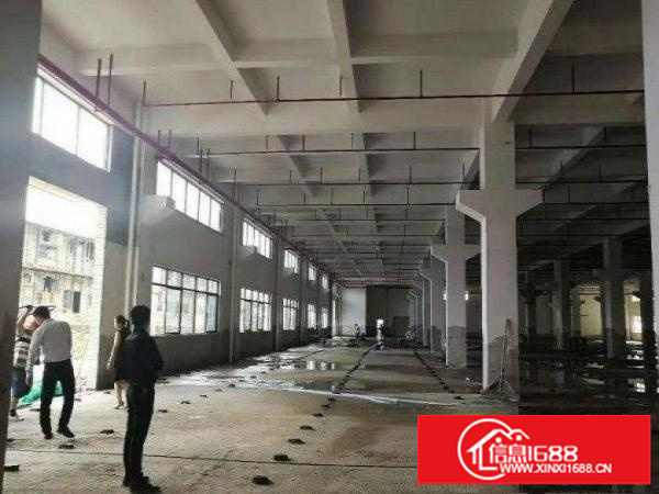 坪地标准一楼1183平米出租可分租