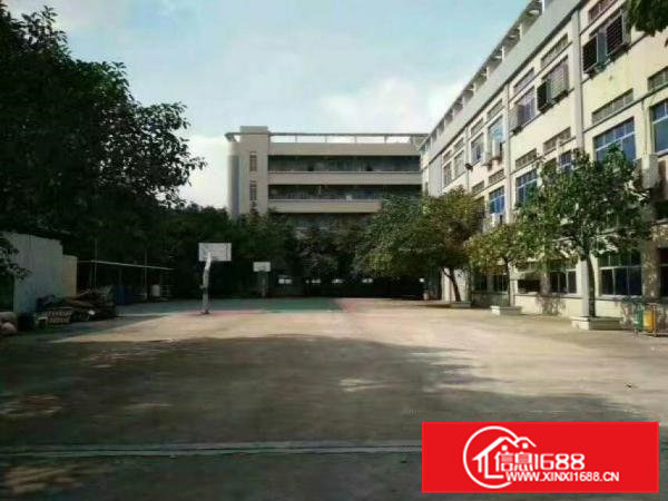 清溪铁松新出花园式2300平米带豪华装修厂房出租