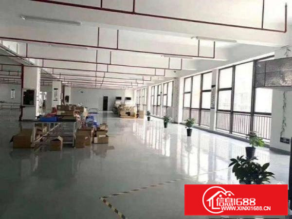 清溪谢坑村标准楼上1480平带装修只要11元全包，真实有效