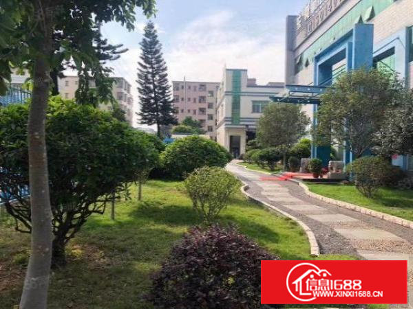 原房东花园式独院厂房11406平，一楼高度7.5米带牛角