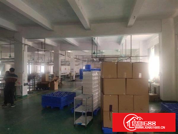 企石镇独院原房东厂房