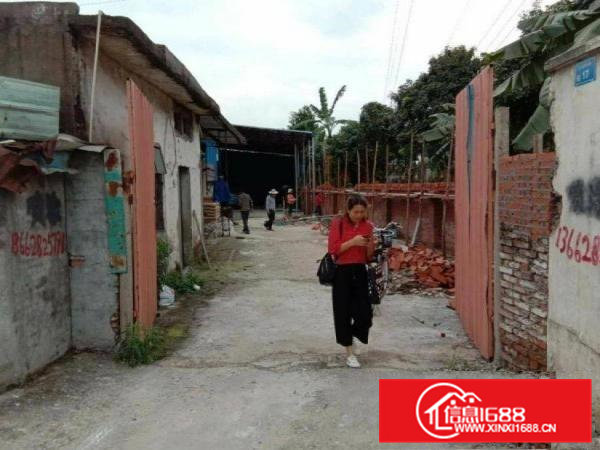 清溪清厦单一层独院300平方厂房出租