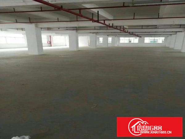 清溪大利新出5000平独院厂房出租