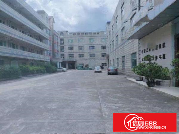 桥头村新出原房东独门独院8200平方实际面积新出