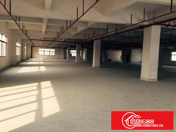 大亚湾原房东1900平红本厂房全新厂房配套成熟