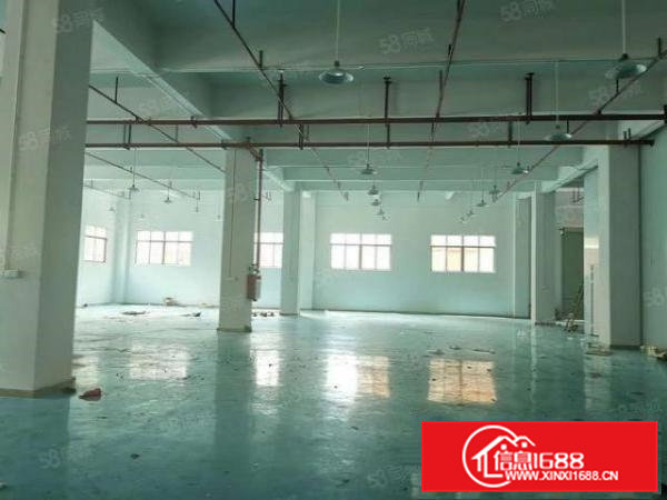 原房东一楼整层950平高5.5米二楼950平整层4.5米