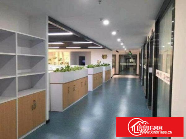 大浪服装基地精装厂房超低价出租大小面积自选可停大车