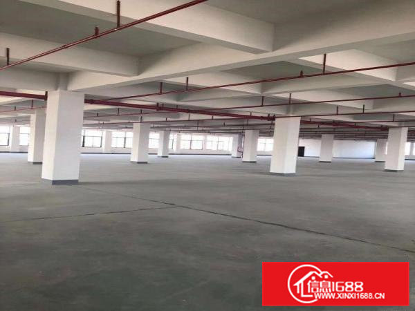 出租常平镇袁山贝苏坑村厂房