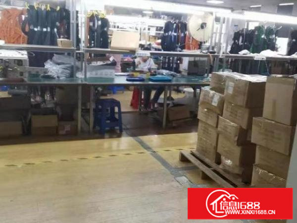 虎门白沙新出三楼一整层1500方带精装修