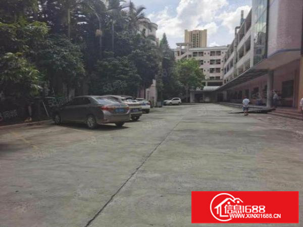 东坑镇红本双证花园式厂房招租工业用地可办环评