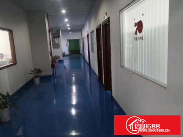 红本厂房厂房高大上。园区干净管理好。