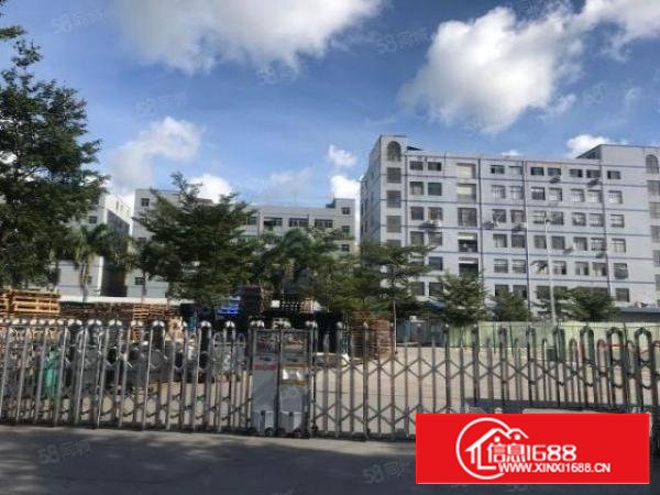 非中介，石岩料坑卓林工业园自建厂房带红本出租