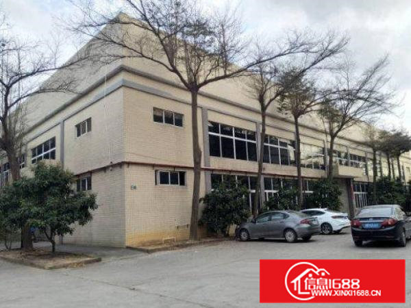 常平塘角4000平方米单一层标准钢构