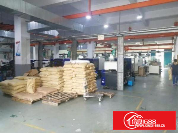 独门独院厂房面积实在