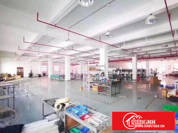 蛟乙塘新出原房东厂房3楼1200平方带现成装修无公摊