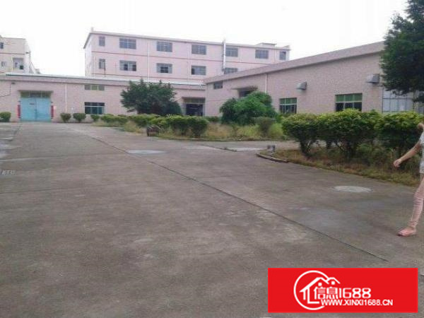 仲恺多个独门独院2400到6000平方钢构厂房