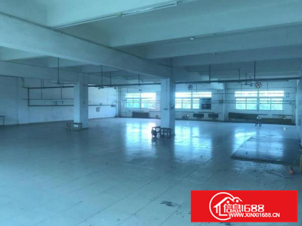 博罗园洲厂房出租独立整栋标准厂房可分租国有地包办环评