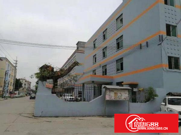 大宁工业区二楼厂房560平米出租原房东，可办环评