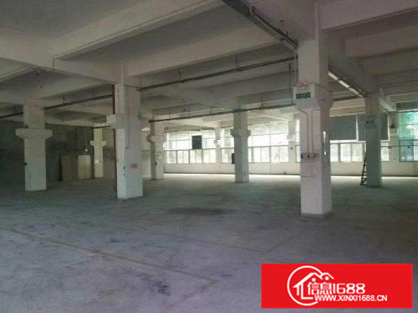 平湖山厦工业区标准一楼1500平米业主直租可分租