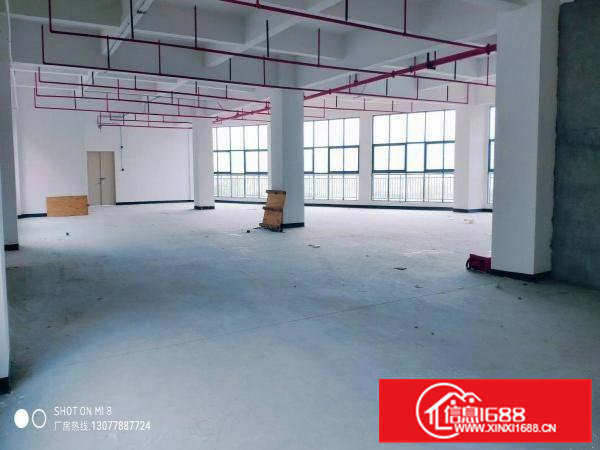 五联石头岭原房东全新厂房2楼