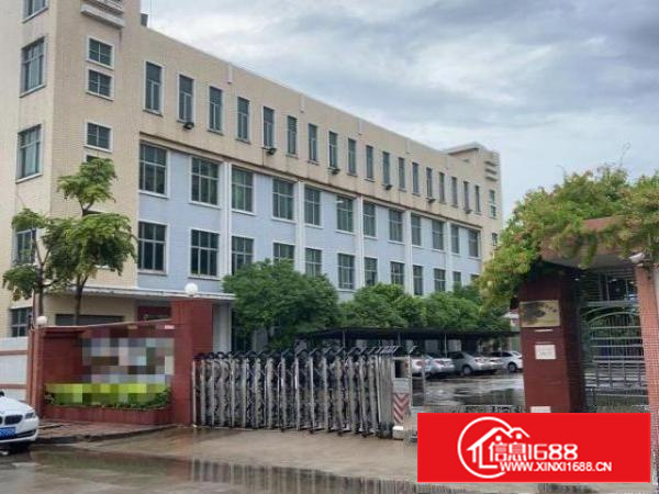 万江独门独院原房东厂房出租15块