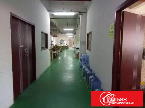 观澜梅观高新科技园带装修厂房招租面积1000平