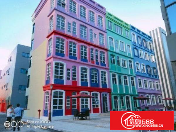 坂田天虹商场附近经典小独院3115平和1000平两栋