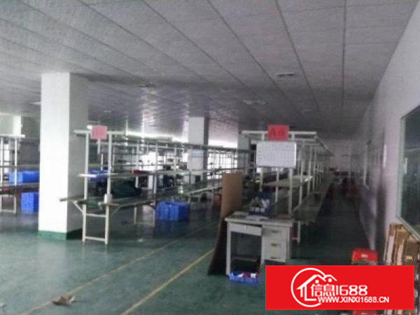 秋长西湖主干道旁1500平标准2楼厂房出租带精装