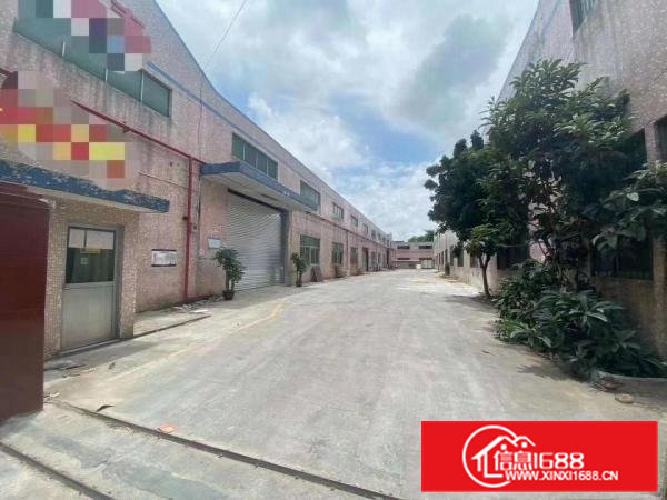 常平镇司马空地大原房东个人自用厂房分租800平周边无居民靠山