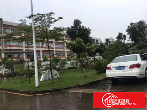 沙井新桥芙蓉工业区厂房1000平米