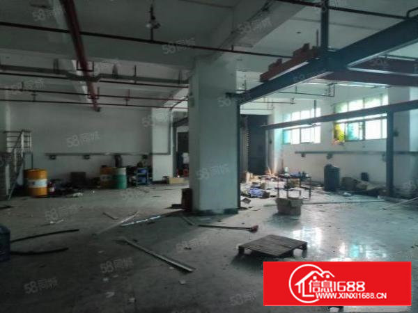 沙井大王山新出1楼600平800平1800平带行车