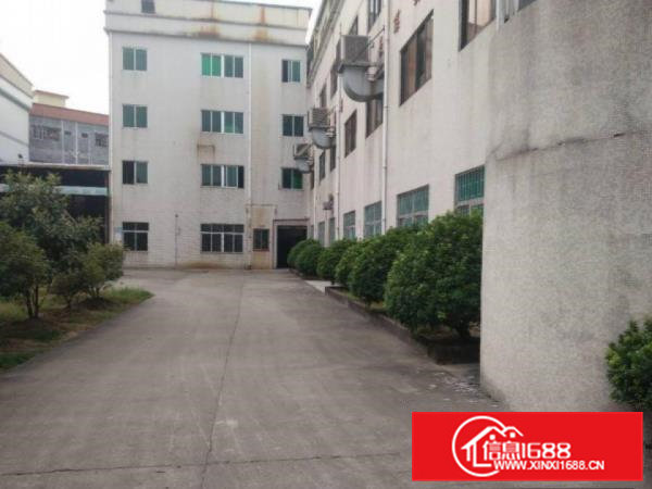 大朗黎贝岭免租期一楼厂房500平出租，原房东，可办环评