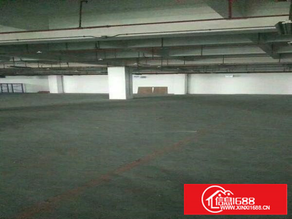 塘厦新出原房东厂房56000平米大小可分租